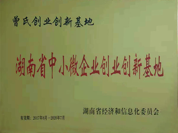 湖南省中小微企業創業創新基地